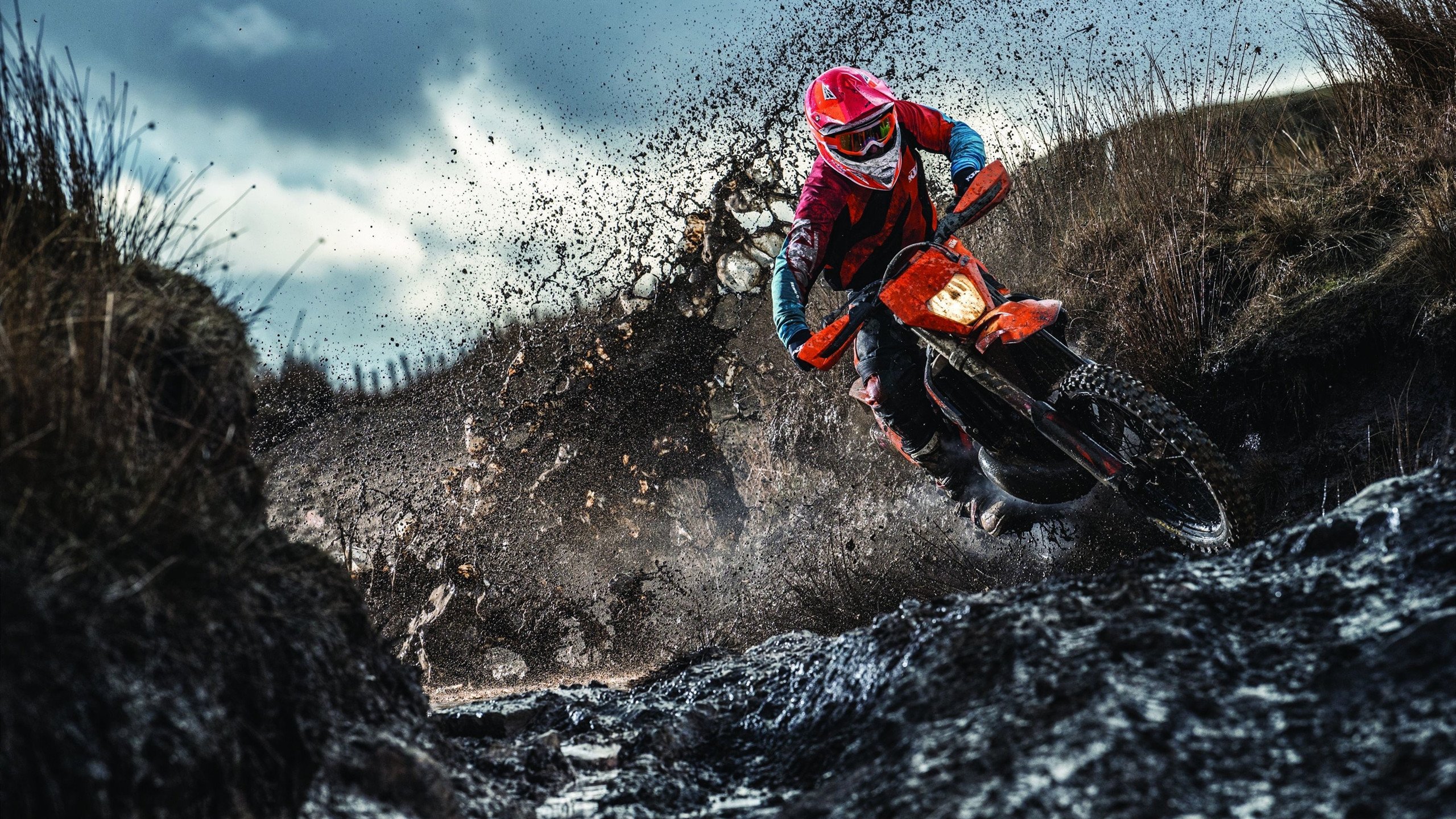 新闻中心计划启动数字化转型实践成果持续优化用户体验，数字化转型宣传稿