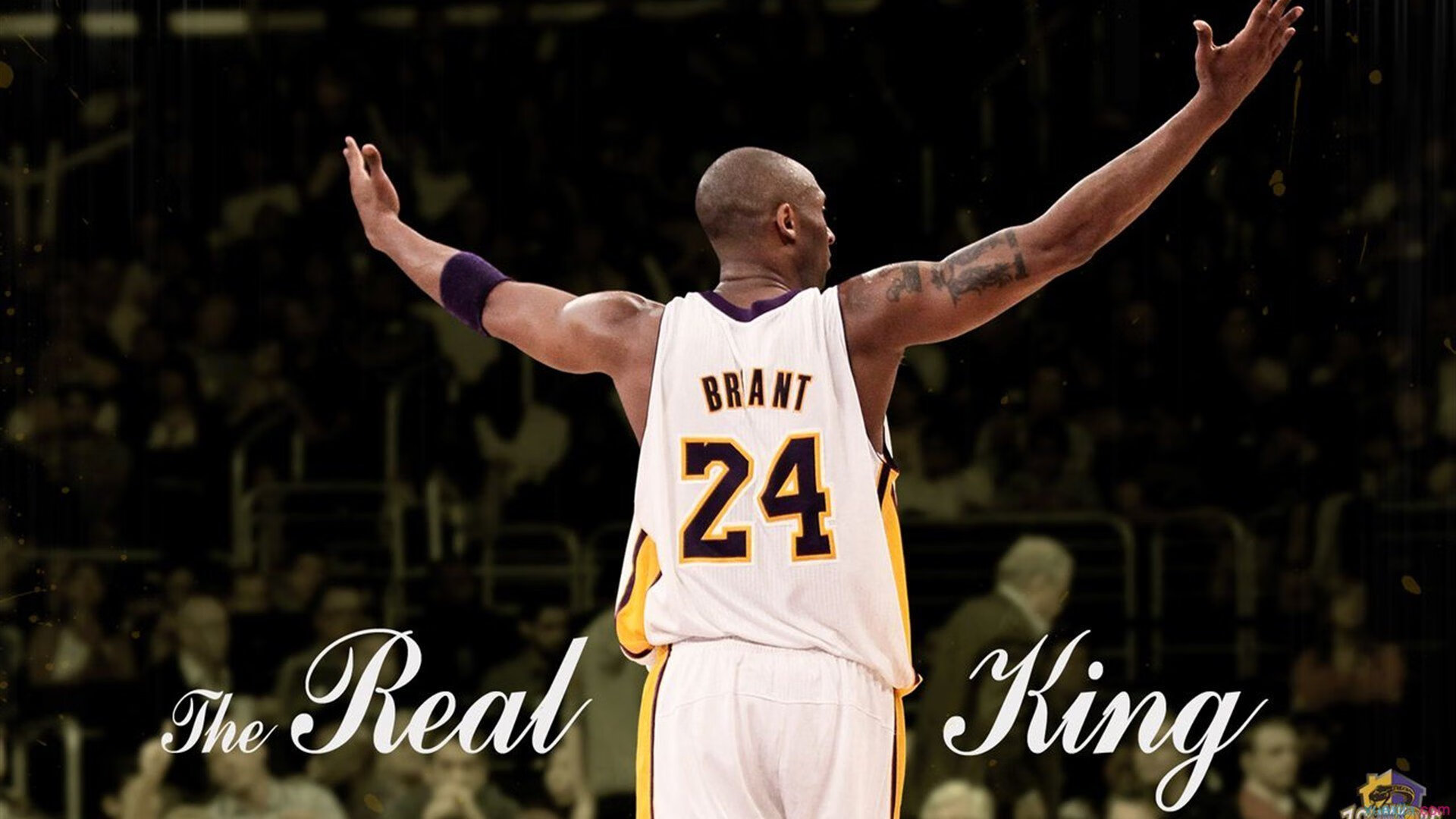 欧洲观察视角：乒乓德甲俱乐部商业破局关键，德国乒乓球欧洲最强